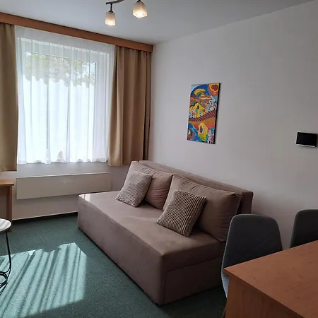 Apartment Palacky *