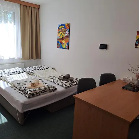 Palacky Apartment Kyjov (Hodonin District)